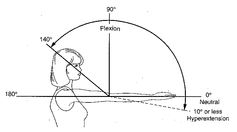 elbow.tif (990526 bytes)