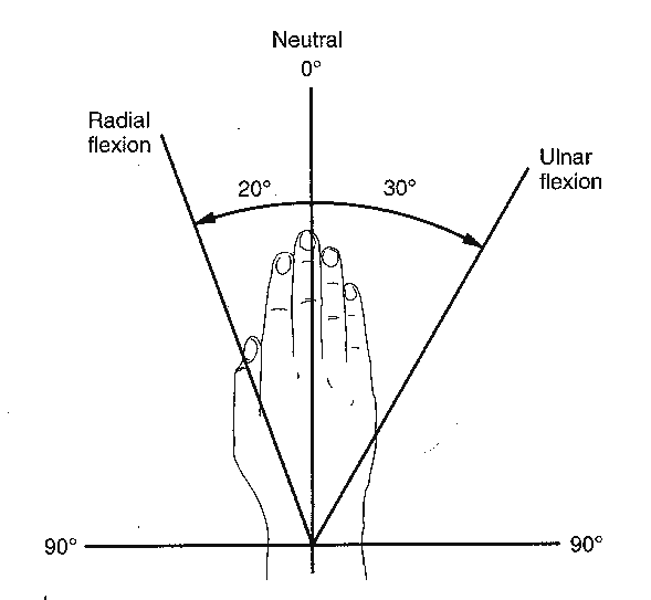 wrist_dev.tif (960296 bytes)